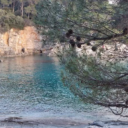 Pulabella شقة بولا