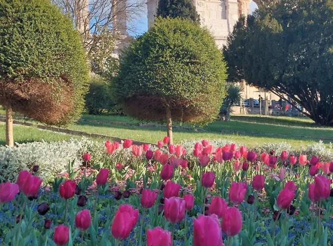 Pulabella Appartement Pula