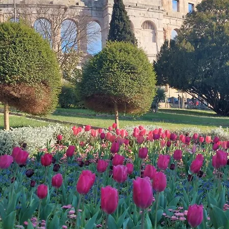 Pulabella Appartement Pula